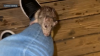 Rats! Viral video sparks debate about rodent problem in Boston