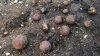 Bomb squad investigates cannonballs found in Waltham