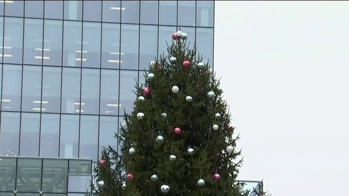 Boston Seaport District rings in holiday season with tree lighting
