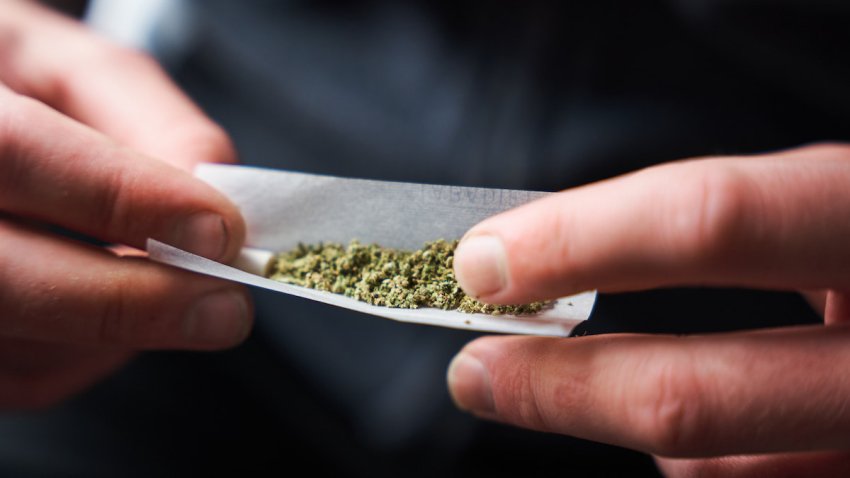 Close-up of a young adult rolling a marijuana joint.