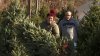 $700 for a Christmas tree? Prices are soaring this holiday season