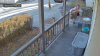 Police seek woman seen on video struggling to steal packages on Webster porch