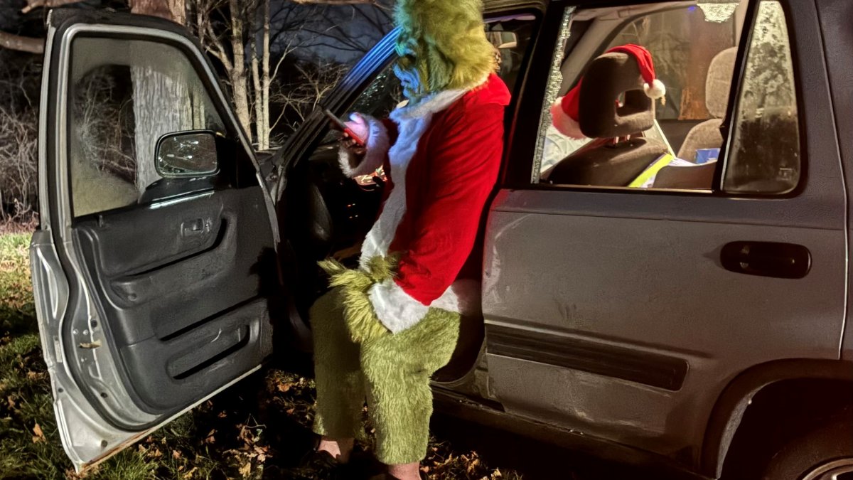 Grinch in a police car: Hillsborough officer has new 'passenger