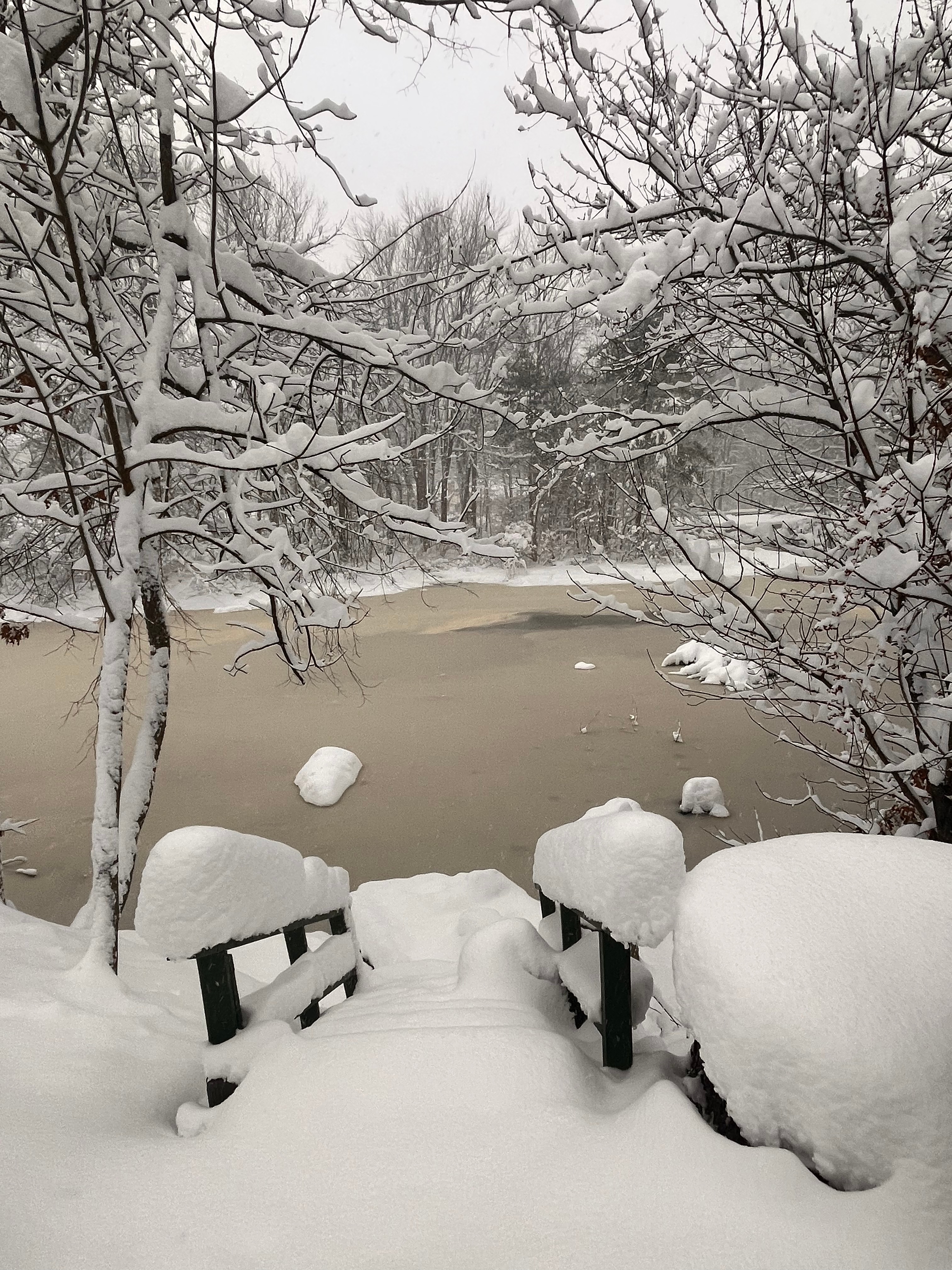 Snow photos in Mass., NH: – NBC Boston