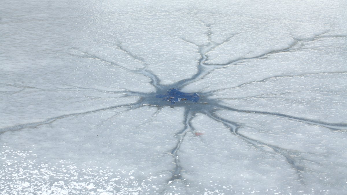Woman, dog fall through ice – NBC Boston