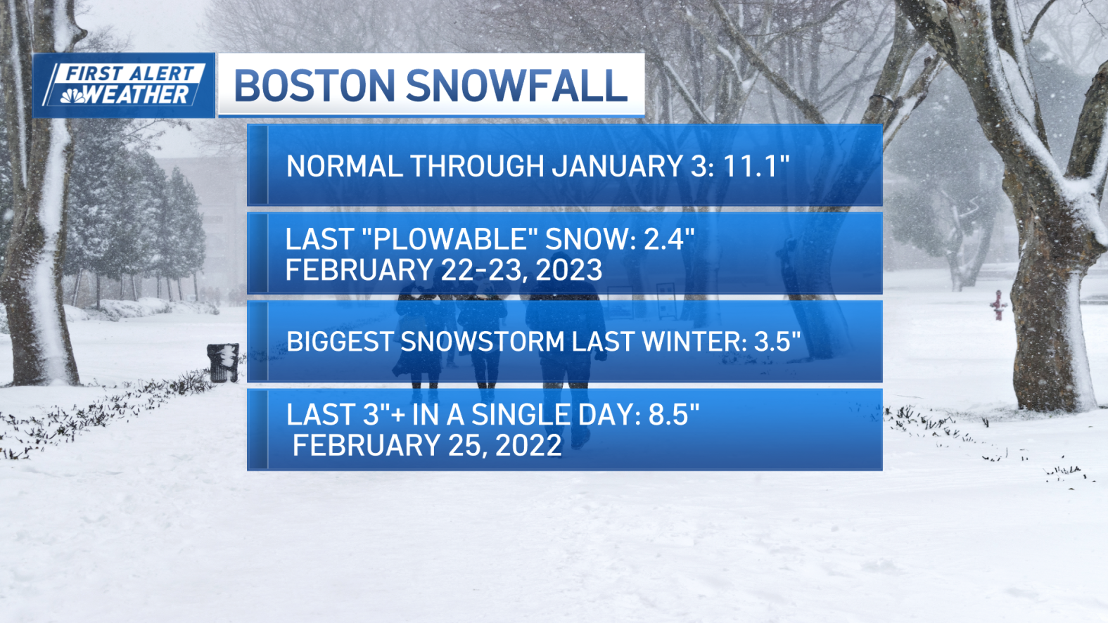 Winter storm Boston 2024 How much snow is Massachusetts getting on