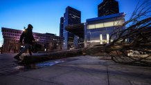 A tree is seen down on Boston's City Hall Plaza on Thursday, Feb. 29, 2024.