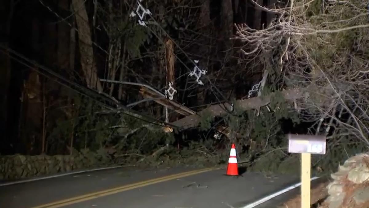 强风吹倒了马萨诸塞州的树木和电线杆