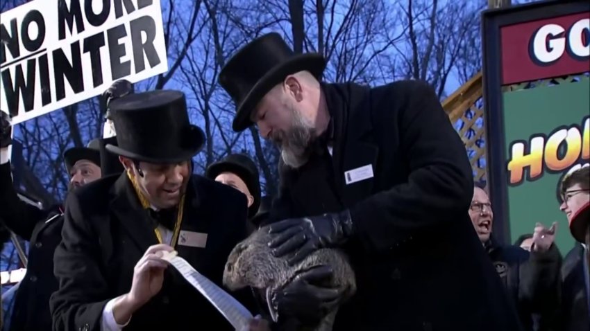 Punxsutawney Phil held by his handlers on Feb. 2, 2024.