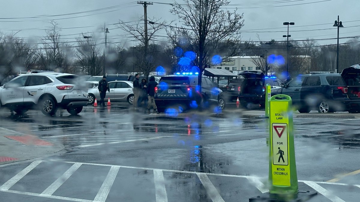 Legacy Place Whole Foods parking lot crash: Dedham police info – NBC Boston