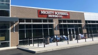 Mighty Squirrel Brewing Co. in Waltham, Massachusetts.