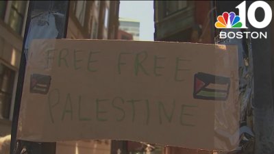 Harvard University suspends pro-Palestinian student group
