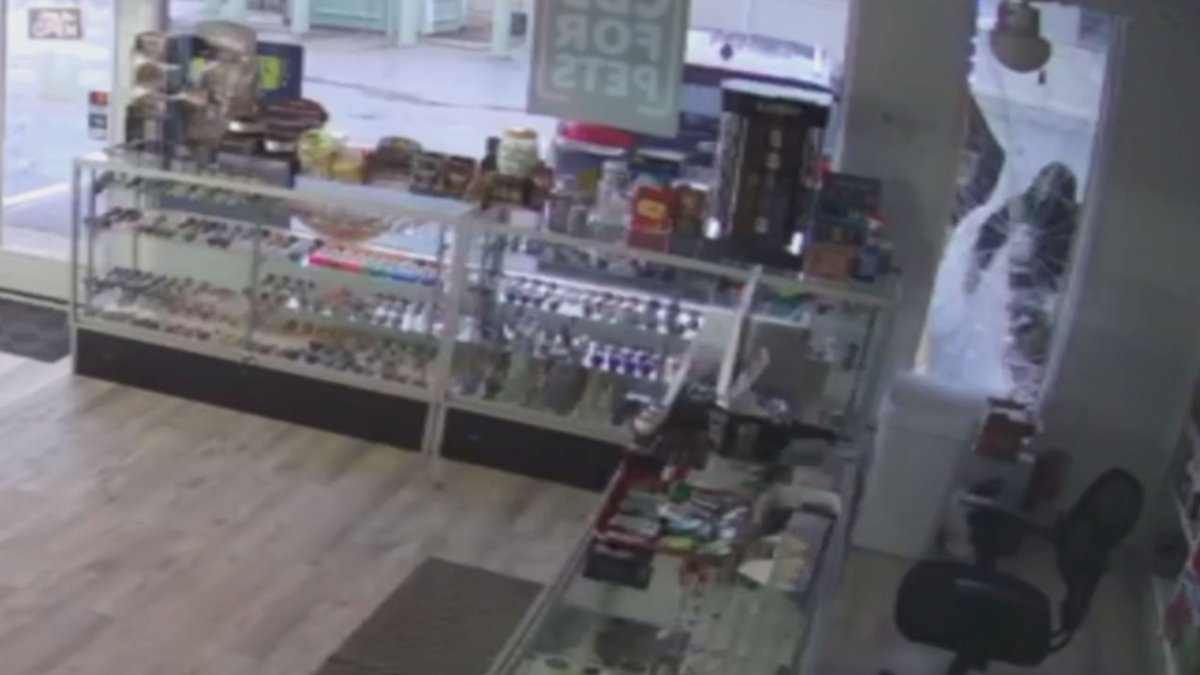 Moonlight Smoke Shop in Franklin, Mass. targeted by thieves again NBC