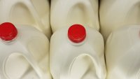 Bird flu virus found in pasteurized milk, though officials maintain supply is safe