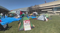 Pro-Palestine protests continue on Boston college campuses