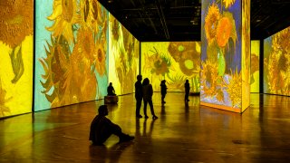 Inside the "Imagine Van Gogh" immersive exhibit that's coming to Boston in June 2024.