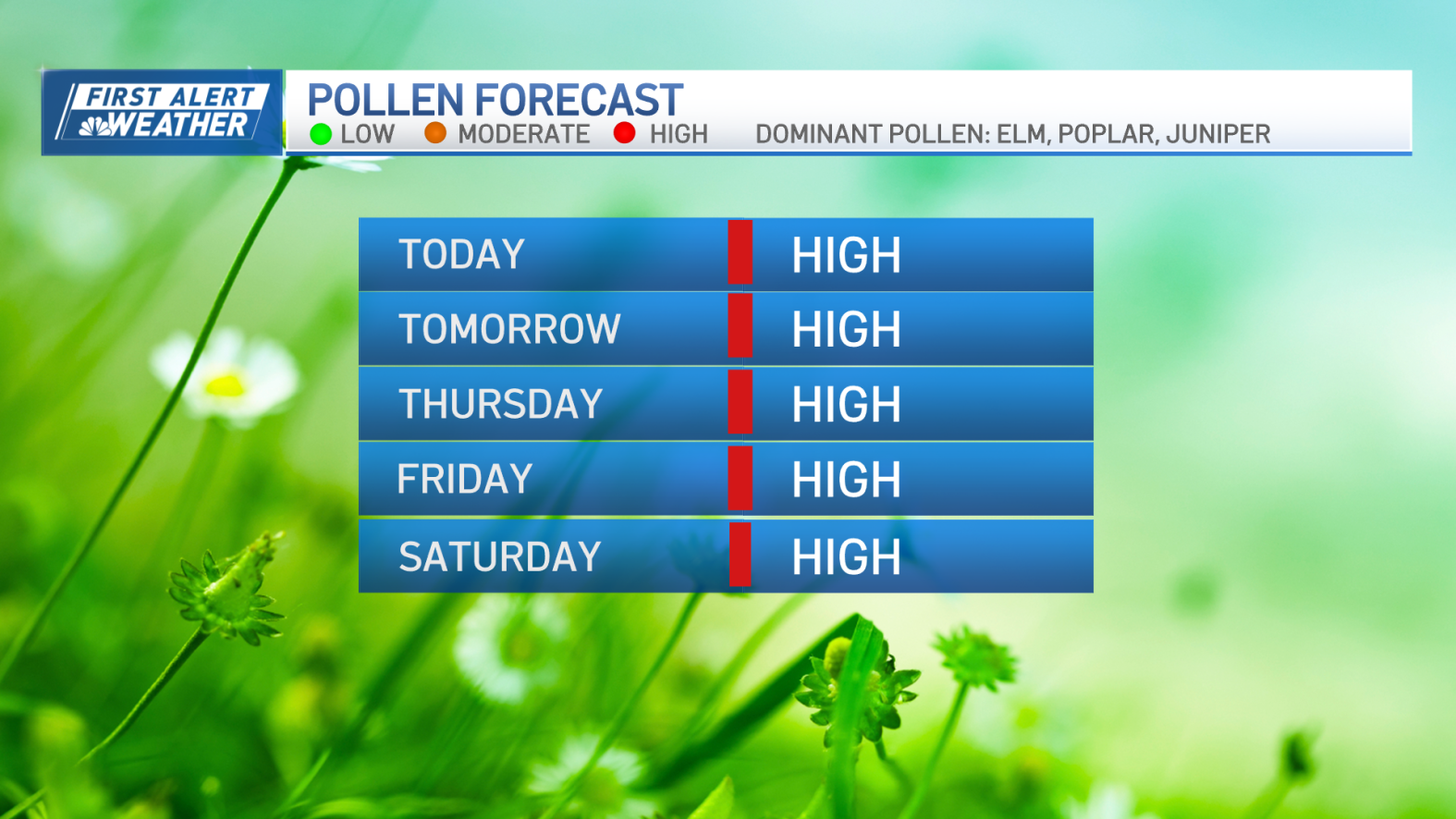 Boston, MA pollen levels: What allergies are high today? – NBC Boston
