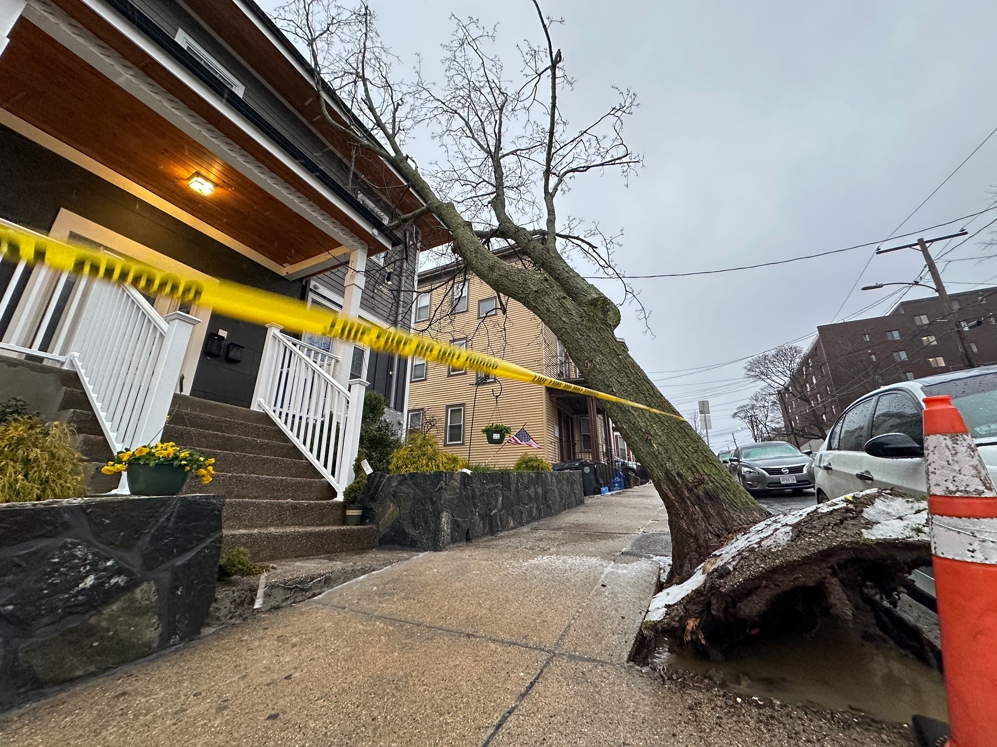 A tree uprooted and fell onto a home in Chelsea, Massachusetts, as a storm hit on Thursday, April 4, 2024.