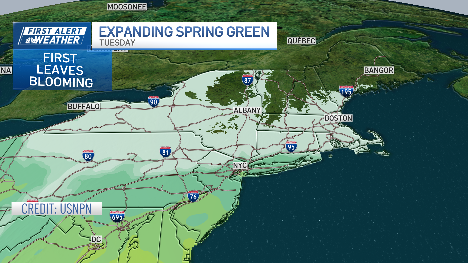 A graphic showing where trees are starting to bloom across the Northeast as of Tuesday, April 16, 2024.
