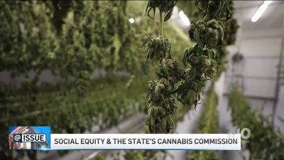 @Issue: Social equity and the cannabis commission
