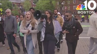 Pro-Palestinian student protesters claim Harvard broke agreement