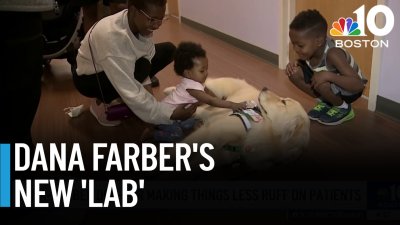 Meet the Jimmy Fund Clinic's newest dog-tor