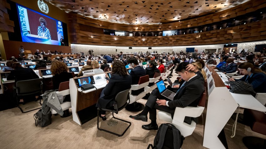 Delegates attend the opening day of the 77th World Health Organization.