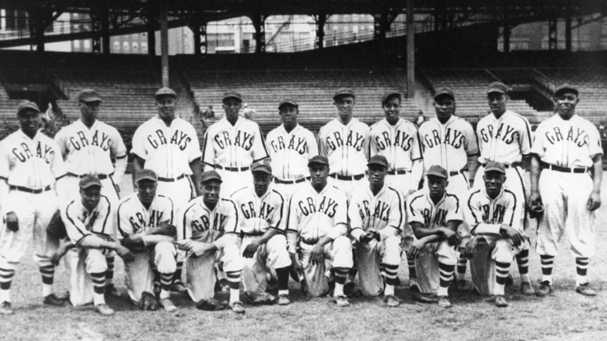 Homestead Grays