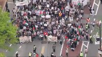 Protesters march from MIT down Mass. Ave. in Cambridge