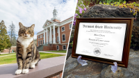 A college puts the ‘cat' into ‘education' by giving Max an honorary ‘doctor of litter-ature' degree​