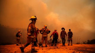 Firefighters work on the zone of a forest fire in the hills in Quilpue comune, Valparaiso region, Chile on February 3, 2024.