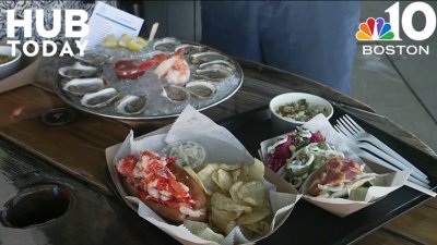 Swell Oyster Co, Hampton Harbor's first oyster farm