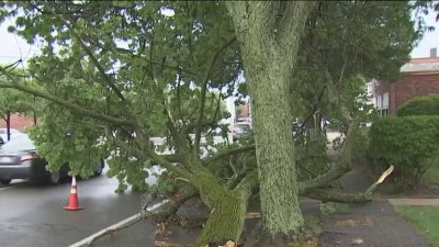 Strong storms leave damage behind
