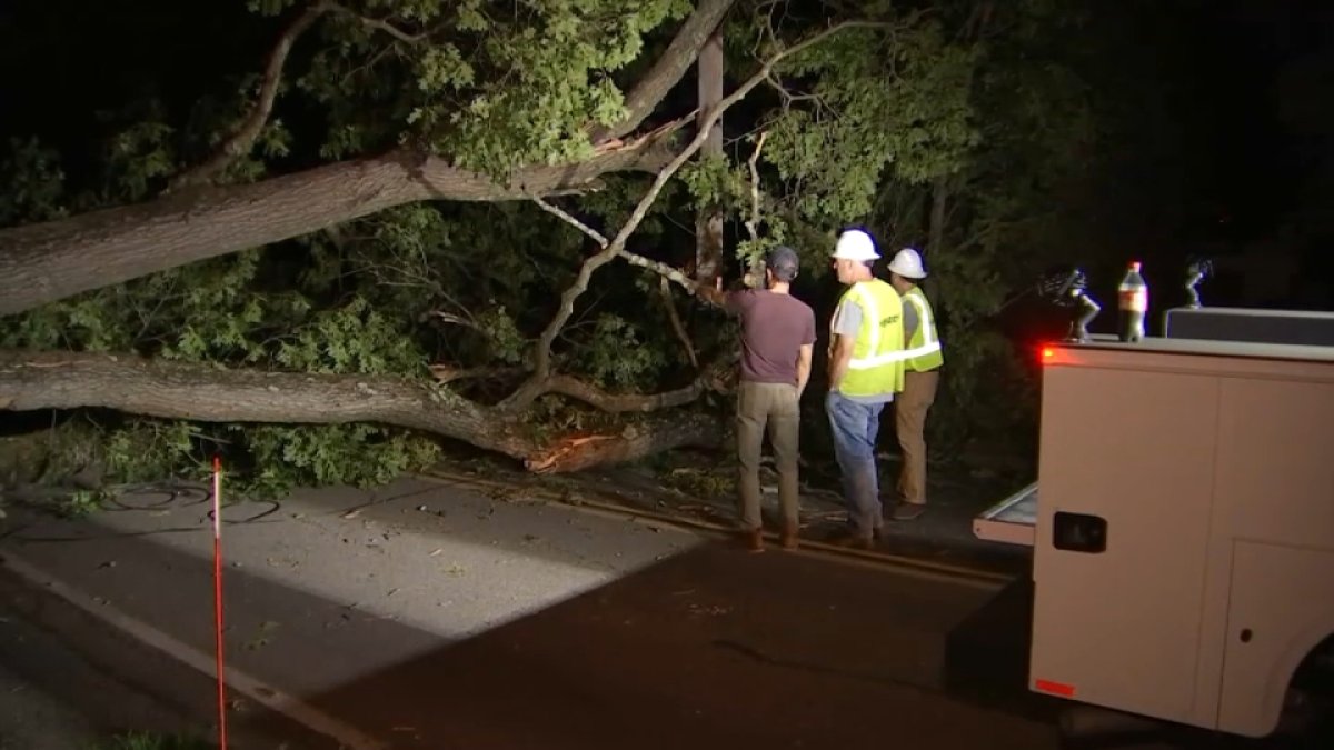 Milton power out after tree falls NBC Boston