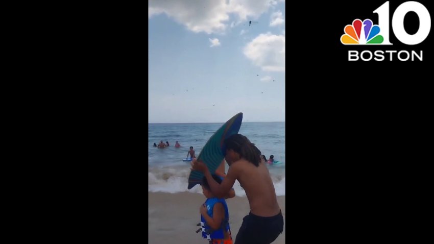 WATCH: Dragonflies swarm RI beach