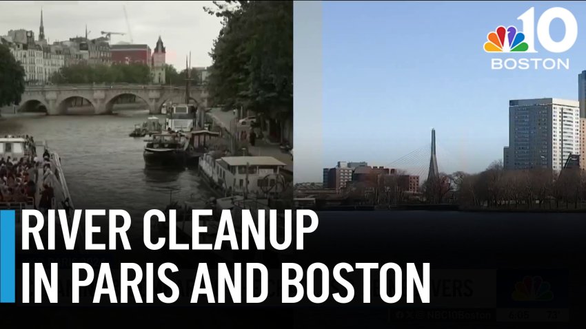 Cleaning up the Seine