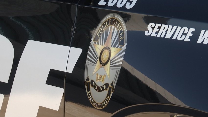 Police car in Princeton, Texas, file