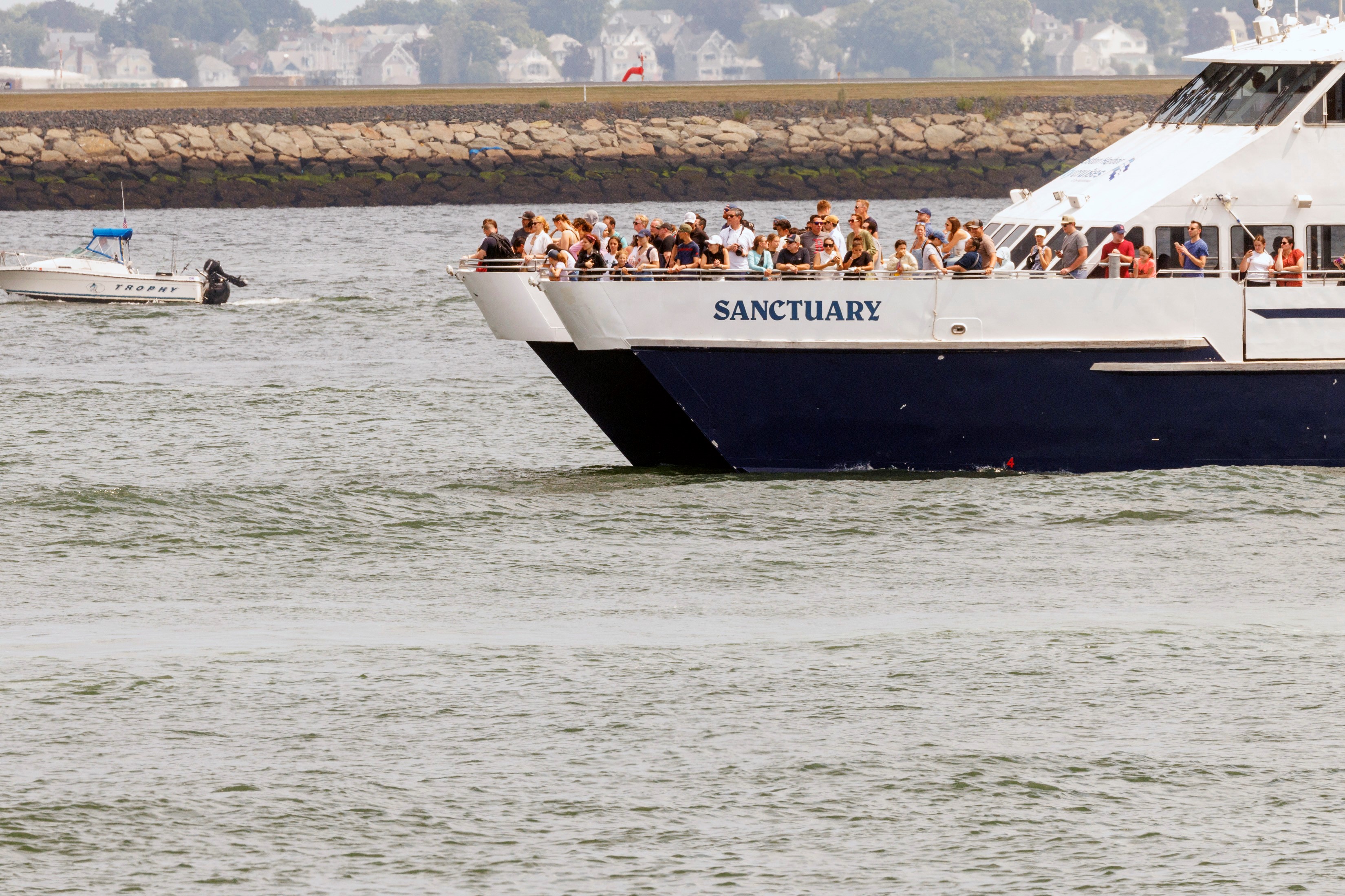 A whale watching boat in Boston Harbor near Logan International Airport on Tuesday, July 30, 2024, following a whale in the area.