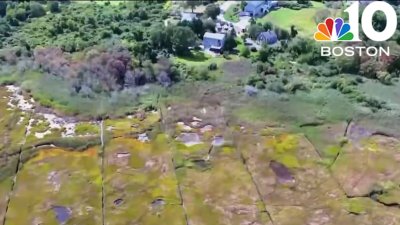 Stuck man rescued from salt marsh