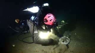 This handout image provided by Atlantic Wreck Salvage shows diver Joe Mazraani fanning away the sand to reveal a deadeye used as part of Le Lyonnais’ sail rigging on the Atlantic Ocean seabed about 200 miles (320 kilometers) off of New Bedford, Massachusetts, in an area known as the Georges Bank, on August 24, 2024. A US dive team has discovered the wreck of a French steamship, Le Lyonnais, that sank in the Atlantic Ocean in 1856 after a collision with an American sailing vessel, claiming the lives of 114 passengers and crew. Le Lyonnais, which was built in 1855 and was considered state-of-the-art at the time, was returning to France after completing its maiden voyage from Le Havre to New York when the disaster occurred. (Photo by Andrew Donn / Atlantic Wreck Salvage / AFP) (Photo by ANDREW DONN/Atlantic Wreck Salvage/AFP via Getty Images)