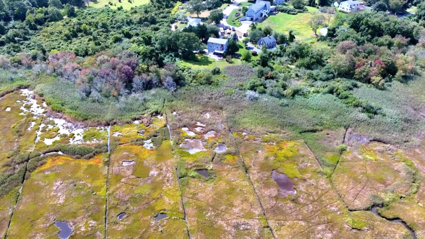 A marshy area in Bourne, Massachusetts, near where a man was rescued on Sept. 9, 2024.