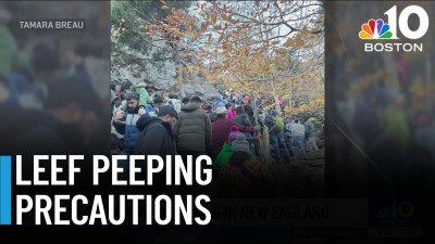 Leaf peeping crowds can cause risky conditions, officials warn