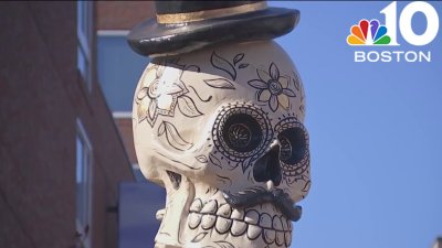 Skeleton sculpture in Cambridge honors Dia De Los Muertos