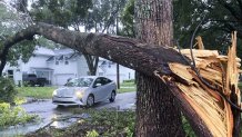 A tree lies over a street after Hurricane Milton passed through on October 10, 2024 in Orlando, Florida. The storm made landfall on Wednesday night on Florida's Gulf coast as a Category 3 hurricane before traveling across Central Florida, causing massive destruction and leaving 3 million Floridians without power.