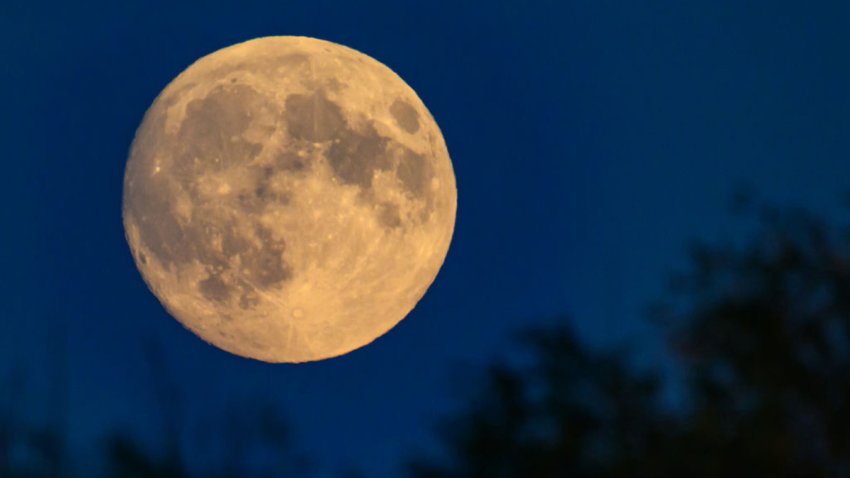 dpatop – 16 October 2024, Brandenburg, Lietzen: The moon, which is 99 percent visible and waxing, shines in the evening sky over eastern Brandenburg. On 17.10.2024, the full moon can be seen as a so-called supermoon. The moon is referred to as a supermoon when the full moon appears particularly large. The reason for this is that the moon does not orbit the Earth in a circle. “The moon orbits the Earth in an elliptical path,” explains Uwe Pilz from the Association of Friends of the Stars. “That’s why it’s sometimes closer to the Earth, sometimes further away.” Photo: Patrick Pleul/dpa (Photo by Patrick Pleul/picture alliance via Getty Images)