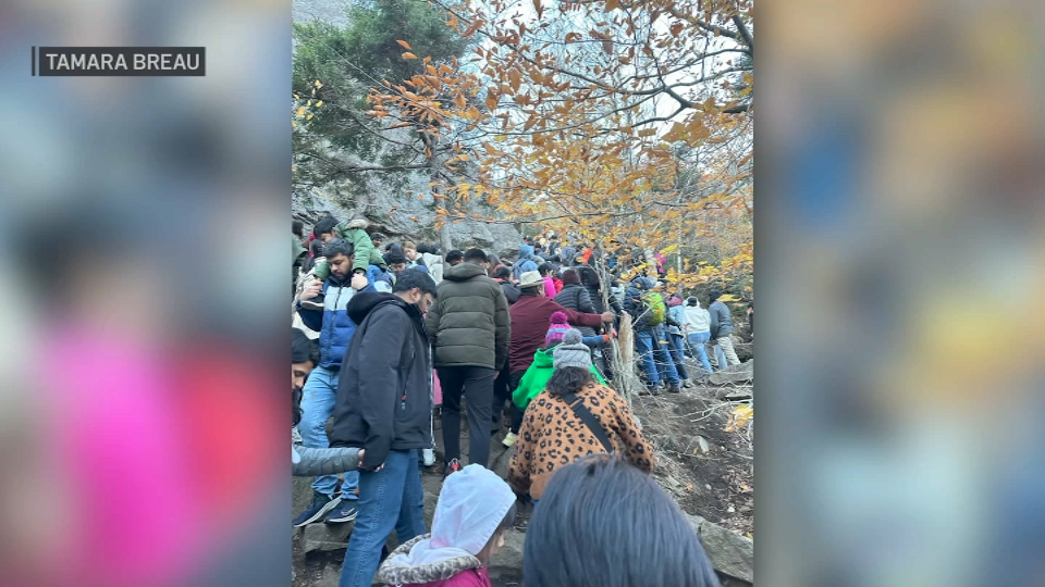 A crowd of hikers on an Artist's Bluff trail in New Hampshire.