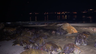 File photo of Front Beach in Rockport