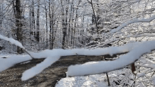 Snow in Duxbury, Vermont, on Monday, Oct. 28, 2024.