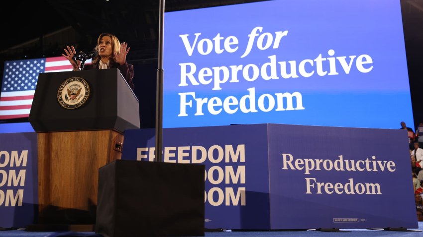 Democratic presidential nominee, U.S. Vice President Kamala Harris, speaks during a campaign rally at Shell Energy Stadium on October 25, 2024 in Houston, Texas. 