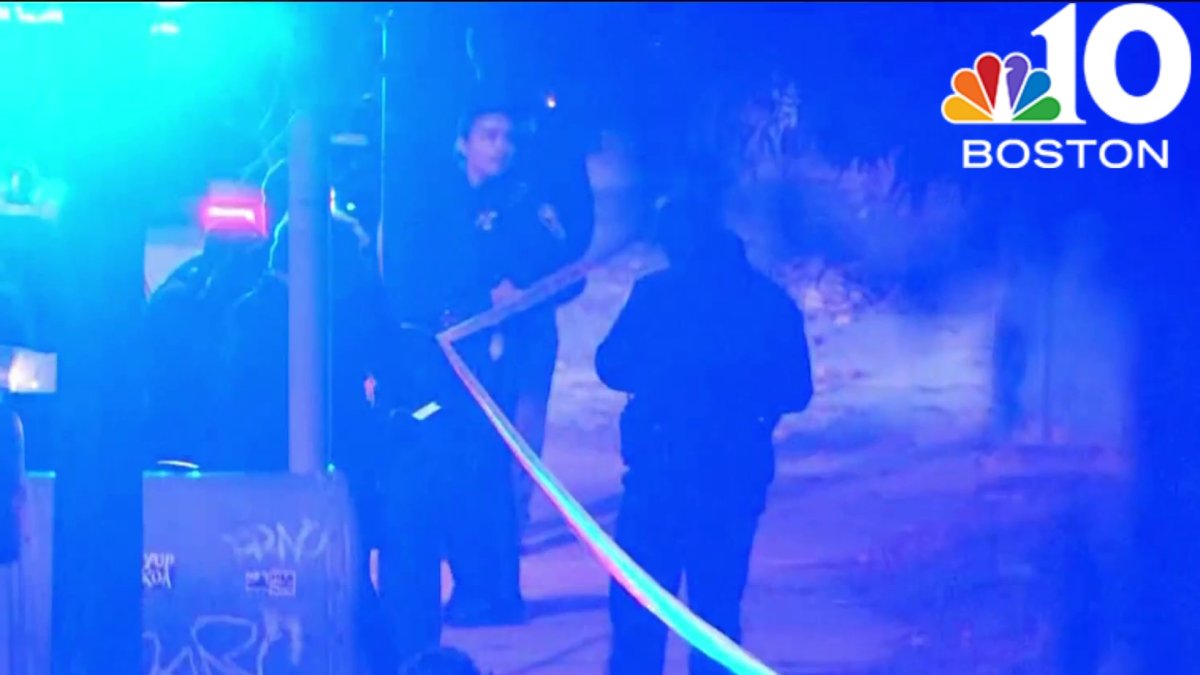 Two taken to hospital in Dorchester dog attack – NBC Boston
